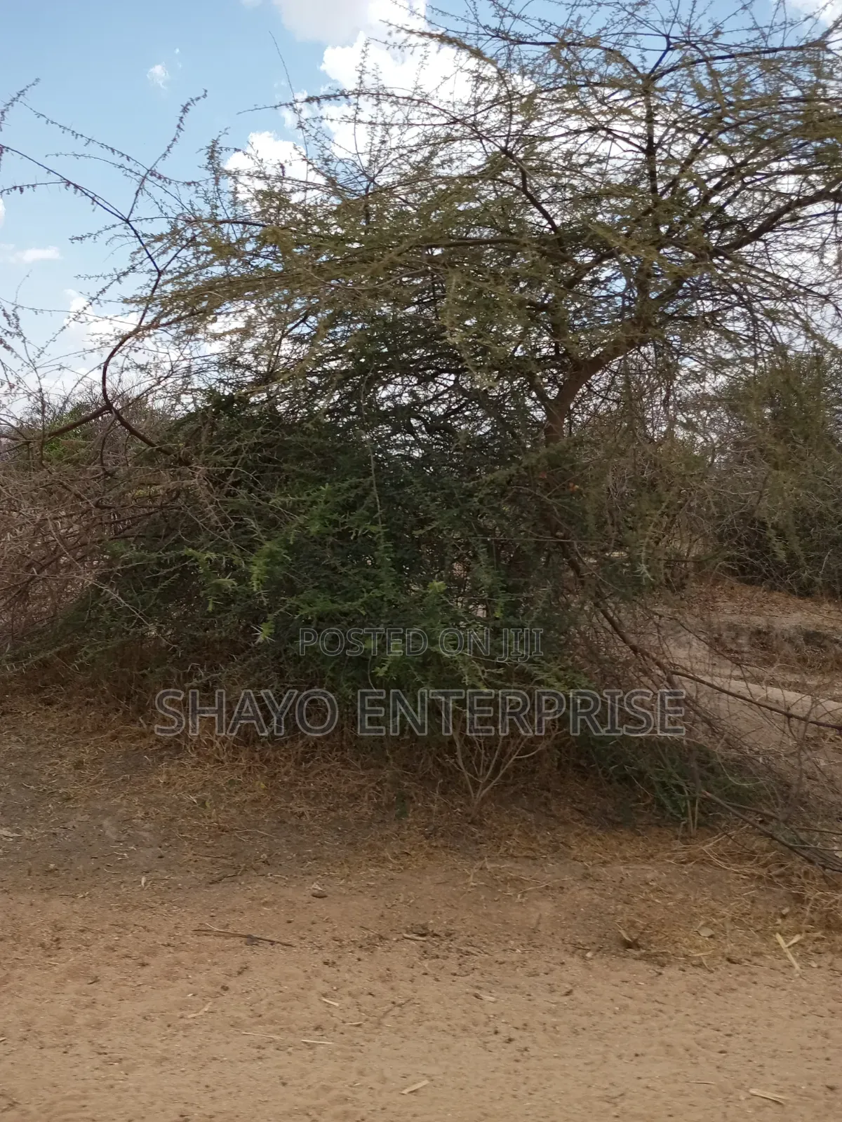 Mashamba Yanauzwa Singida