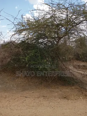 Mashamba Yanauzwa Singida