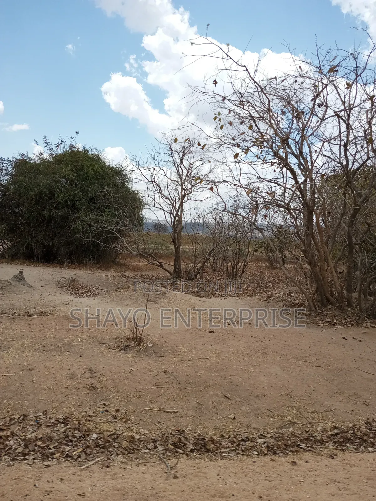 Mashamba Yanauzwa Singida