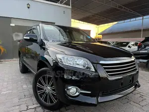 Toyota Vanguard 2010 Matt Black