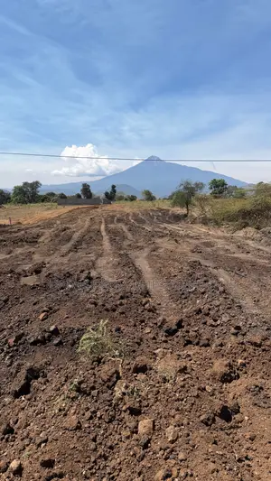 Viwanja Vya Makazi Na Biashara