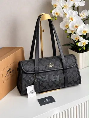 Coach Hand Bags Women Classic Bag New Arrival Size Medium