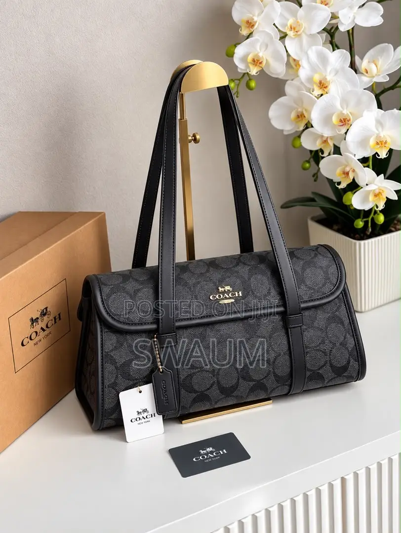 Coach Hand Bags Women Classic Bag New Arrival Size Medium