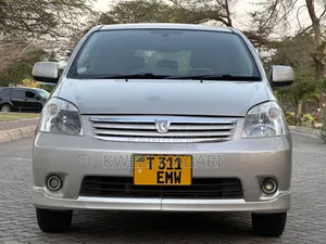 Toyota Raum 2006 Gray