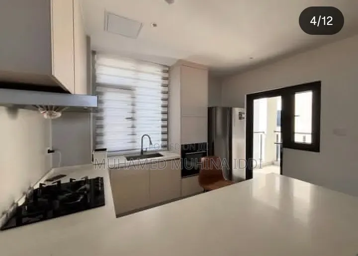 Furnished 3bdrm Apartment in Masaki for rent