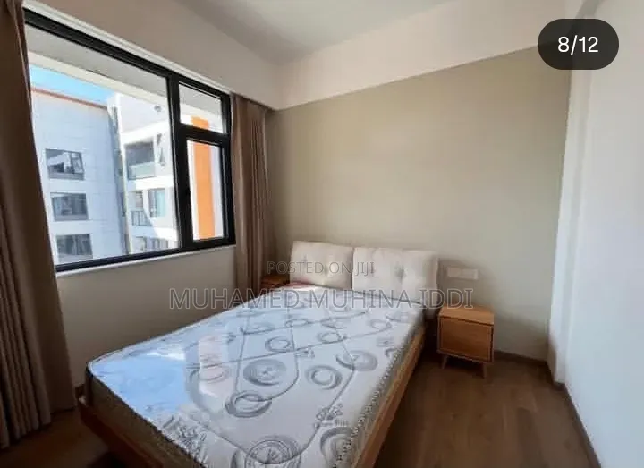 Furnished 3bdrm Apartment in Masaki for rent