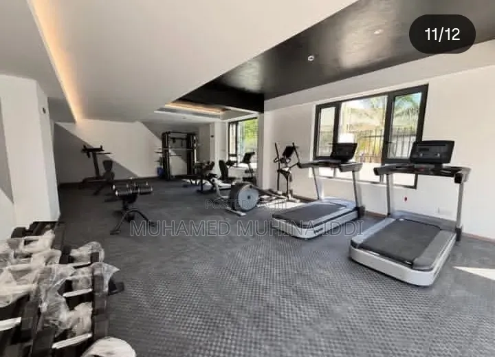Furnished 3bdrm Apartment in Masaki for rent