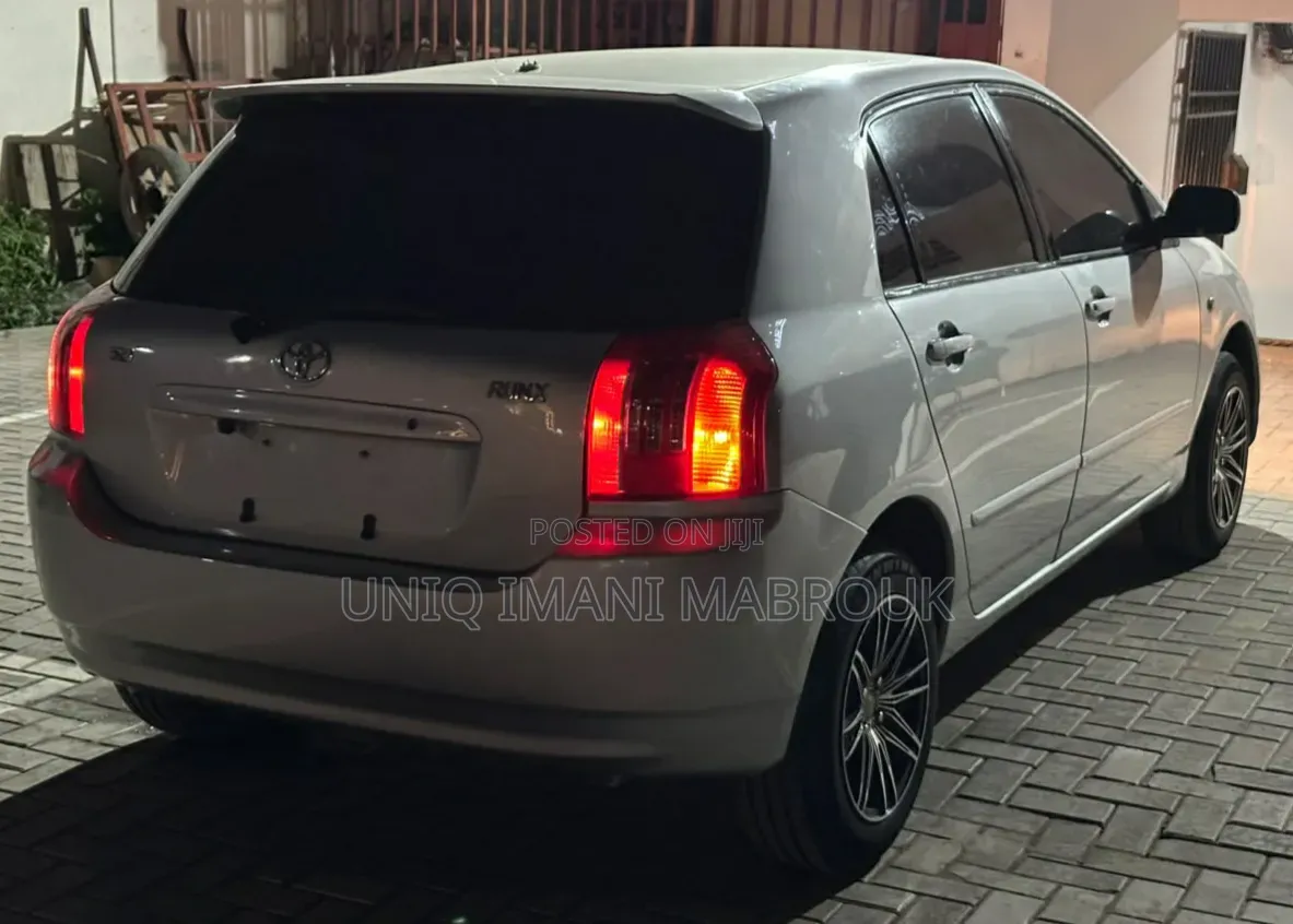 Toyota Corolla RunX 2003 Silver