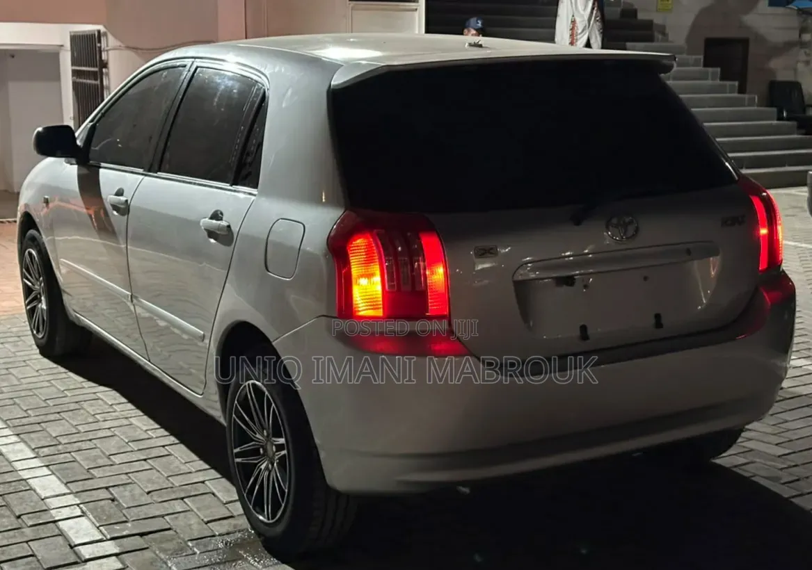 Toyota Corolla RunX 2003 Silver