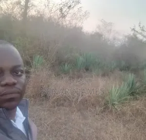 Shamba Linauzwa, Ekari 30 Zenye Mkonge
