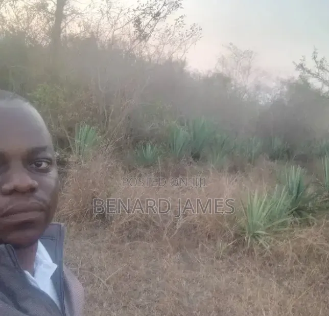 Shamba Linauzwa, Ekari 30 Zenye Mkonge