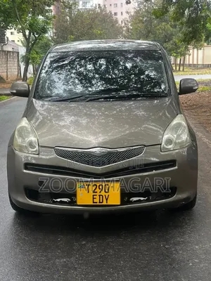 Toyota Ractis 2006 Gray