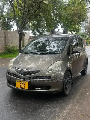 Toyota Ractis 2006 Gray