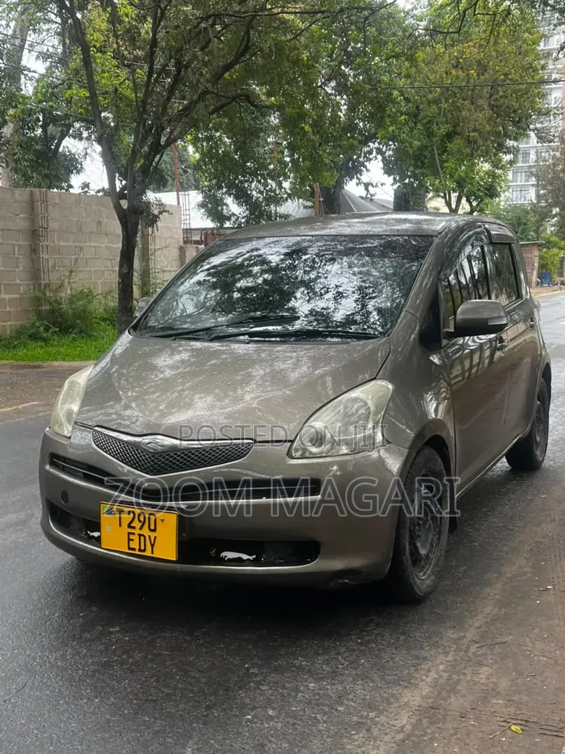 Toyota Ractis 2006 Gray