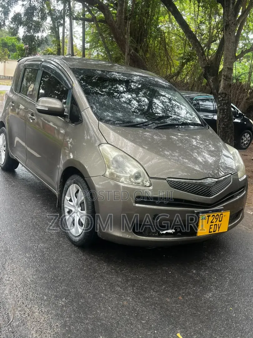 Toyota Ractis 2006 Gray