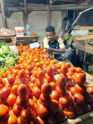 Land Min Market
