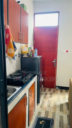 Furnished Mini Flat in Makumbusho Bus Stop, Kijitonyama for rent