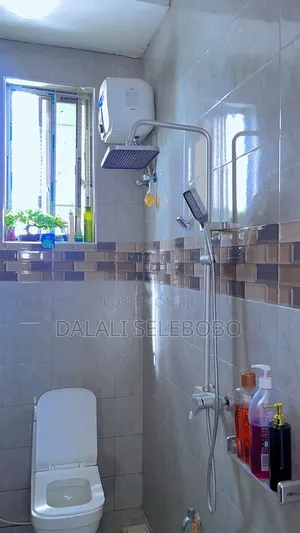 Furnished Mini Flat in Makumbusho Bus Stop, Kijitonyama for rent