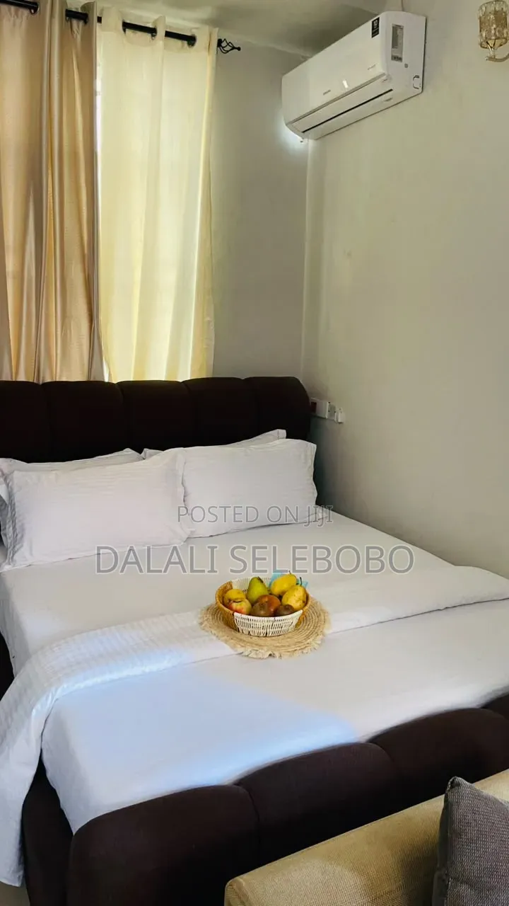 Furnished Mini Flat in Makumbusho Bus Stop, Kijitonyama for rent