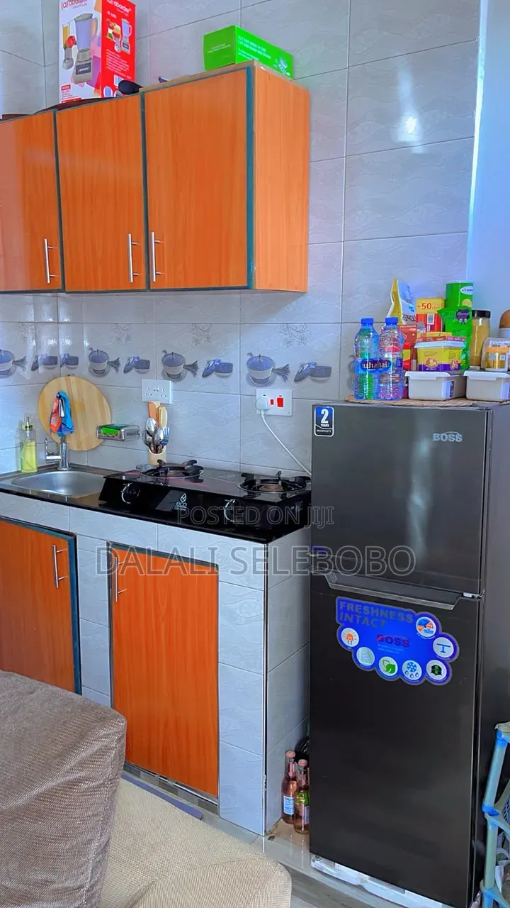 Furnished Mini Flat in Makumbusho Bus Stop, Kijitonyama for rent