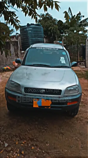 Toyota RAV4 1996 Silver