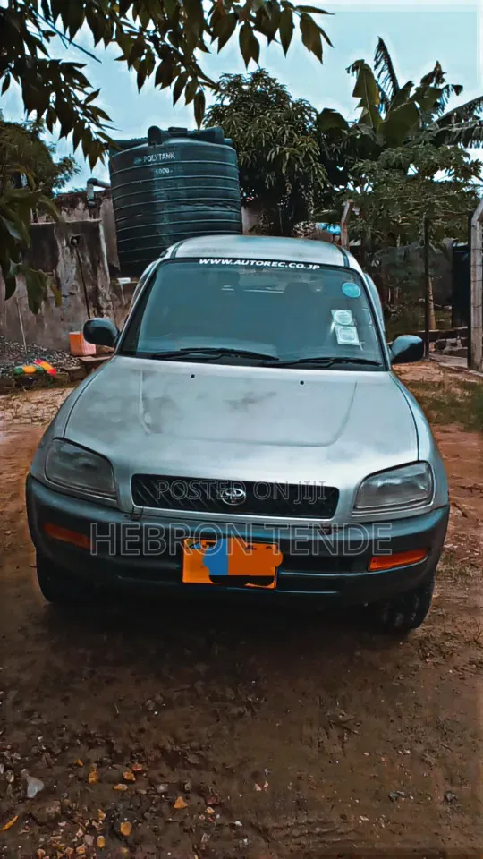 Toyota RAV4 1996 Silver