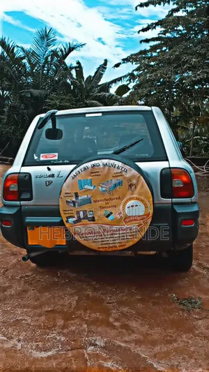 Toyota RAV4 1996 Silver