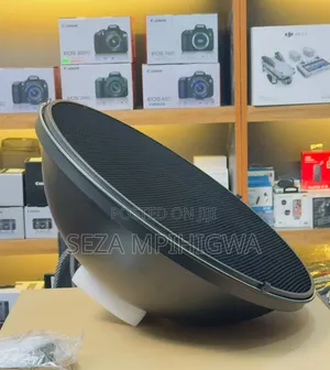 Studio Beauty Dish Reflector With Honeycomb Grid & Diffuser