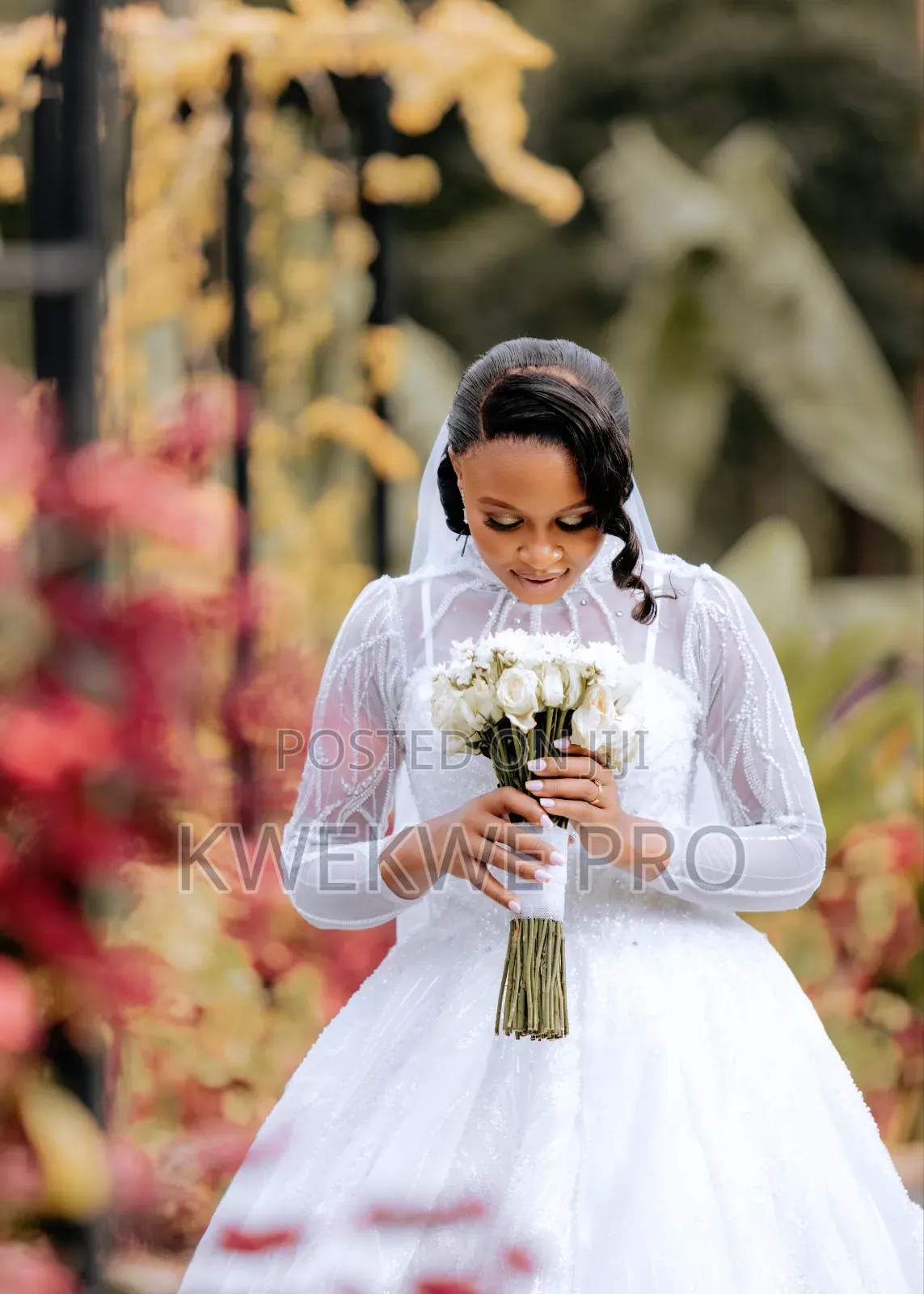 Kwekwe Pro – Brandi Kubwa, New Vision Creativity!