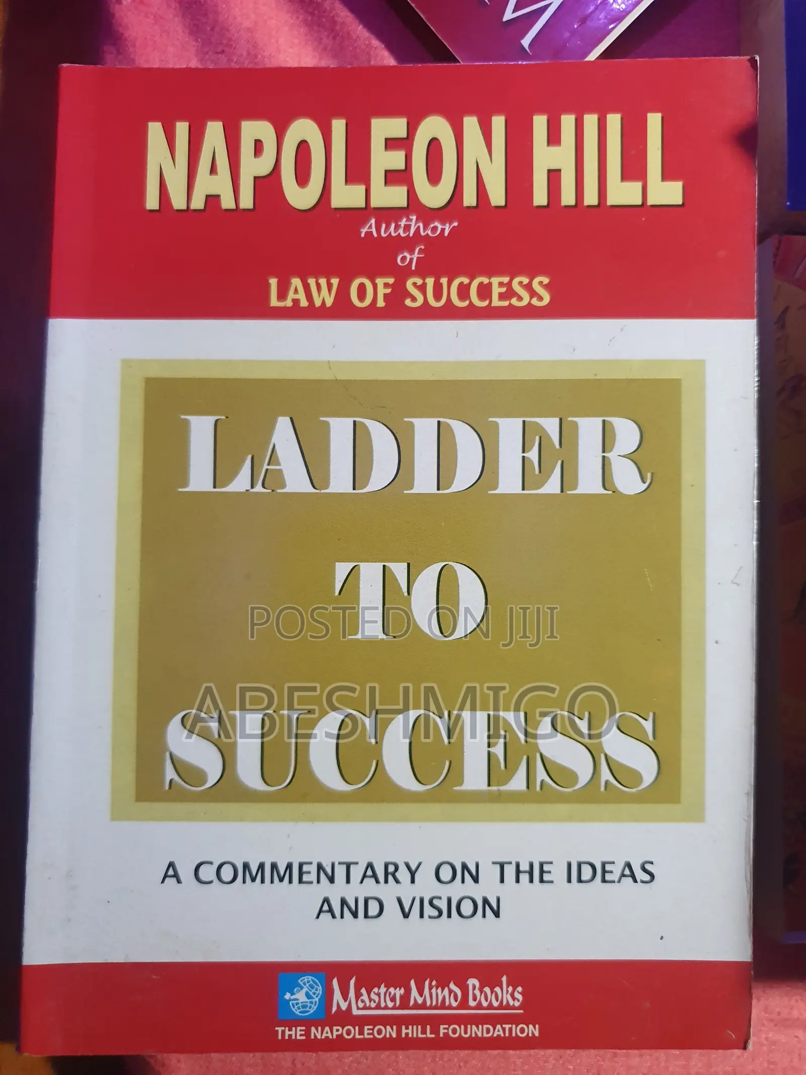 Ladder to Success