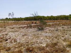 Residential Beach Plot for Sale TSH 45,000,000 at Mapinga, Bagamoyo