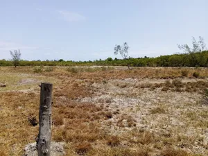 Residential Beach Plot for Sale TSH 45,000,000 at Mapinga, Bagamoyo