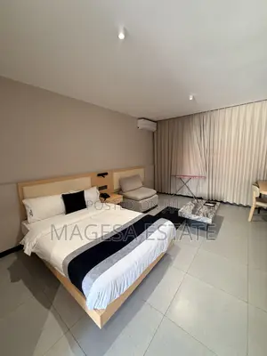 Furnished Studio Apartment in Masaki for rent