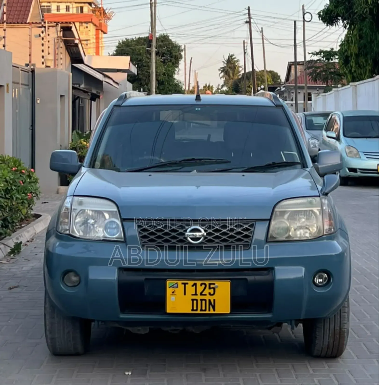 Nissan X-Trail 2005 Gray