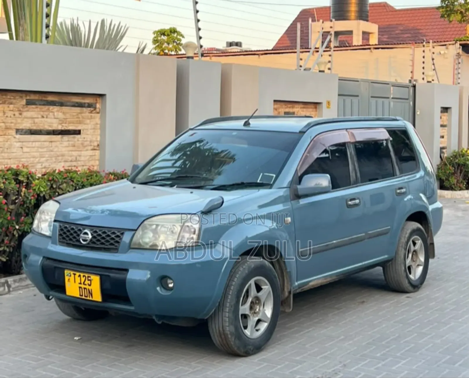 Nissan X-Trail 2005 Gray