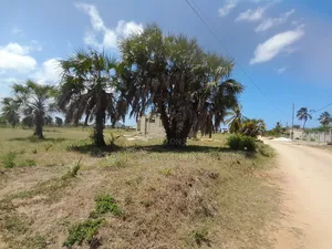 Kiwanja Kinauzwa Kigamboni Geza Ulole
