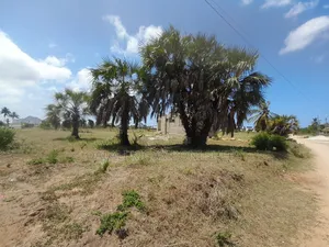 Kiwanja Kinauzwa Kigamboni Geza Ulole