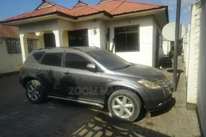 Nissan Murano 2004 Gray