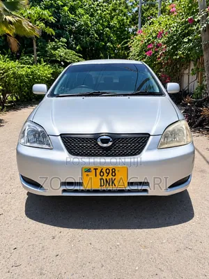 Toyota Corolla RunX 2003 Silver