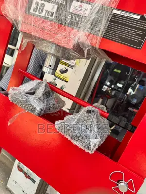 V.KING 30-Ton Heavy-Duty Hydraulic Shop Press