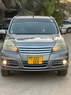Nissan X-Trail 2.0 2006 Gray