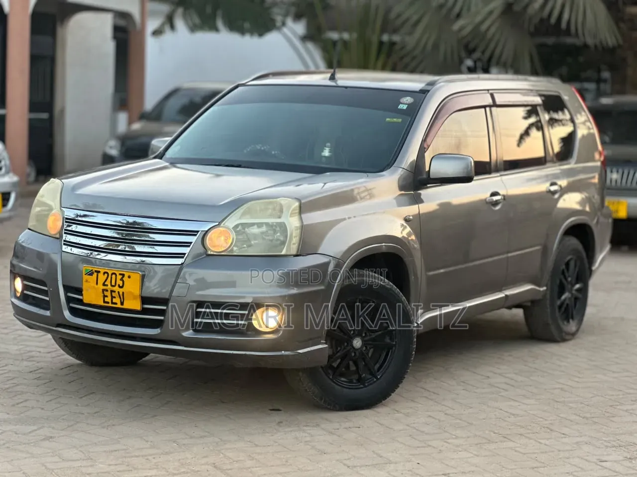 Nissan X-Trail 2.0 2006 Gray