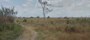 Kiwanja Mbweni