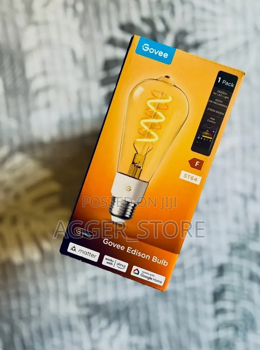 Govee Smart Edison Light Bulb (Model ST64, 1-Pack)