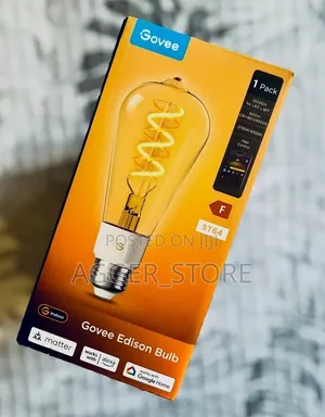 Govee Smart Edison Light Bulb (Model ST64, 1-Pack)
