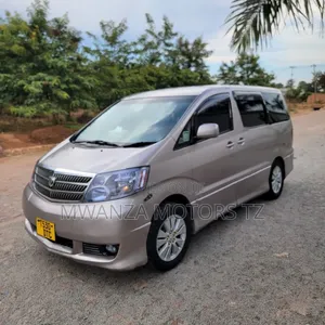 Toyota Alphard 2004 Gray
