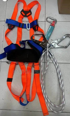 Safety Harness With Double Lanyard