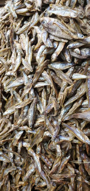 Dagaa Wakavu