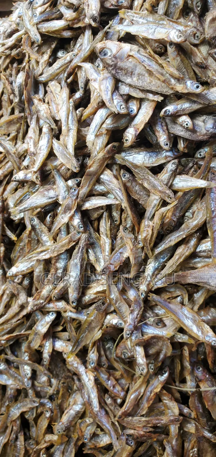 Dagaa Wakavu