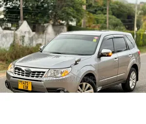 Subaru Forester 2011 Gray